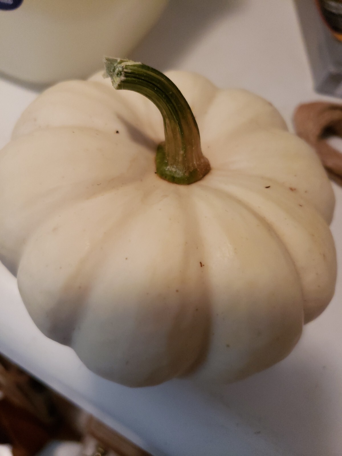 White baby pumkin seeds