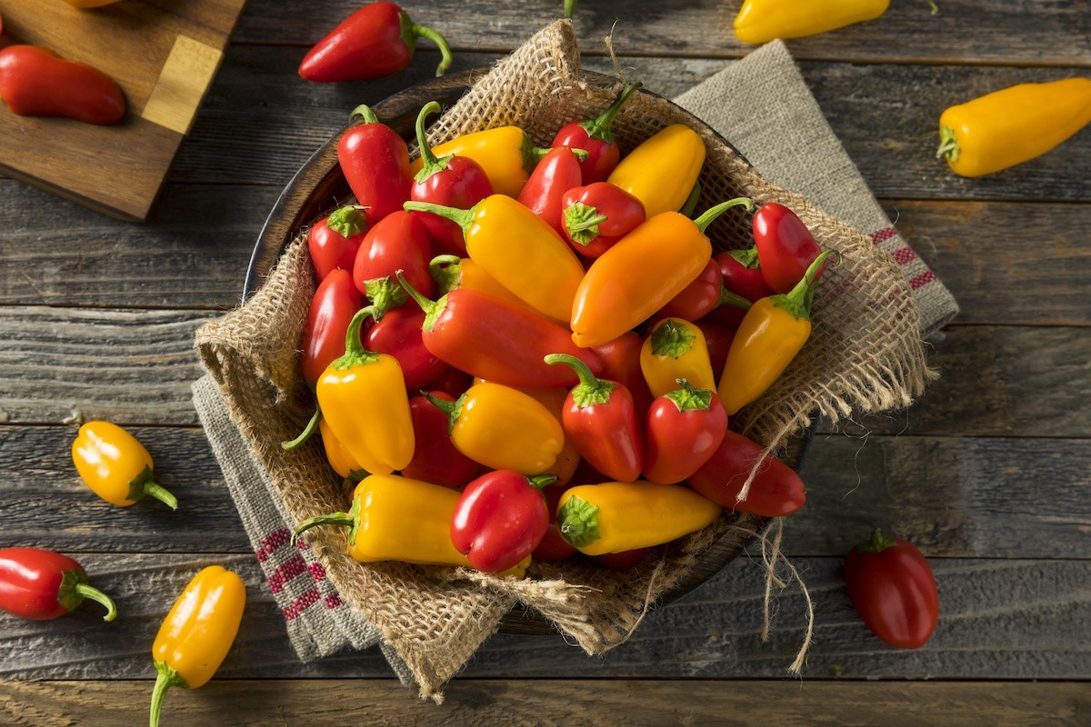50 Mini Sweet Peppers Seeds. Assorted colors. Organic. USA Seeds. Ships free