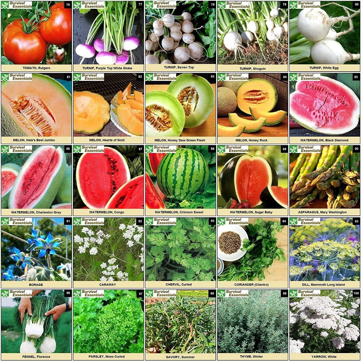 Heirloom Seed Vault 100 Variety Non-GMO Veggie Fruit Herb Survival Garden Kit