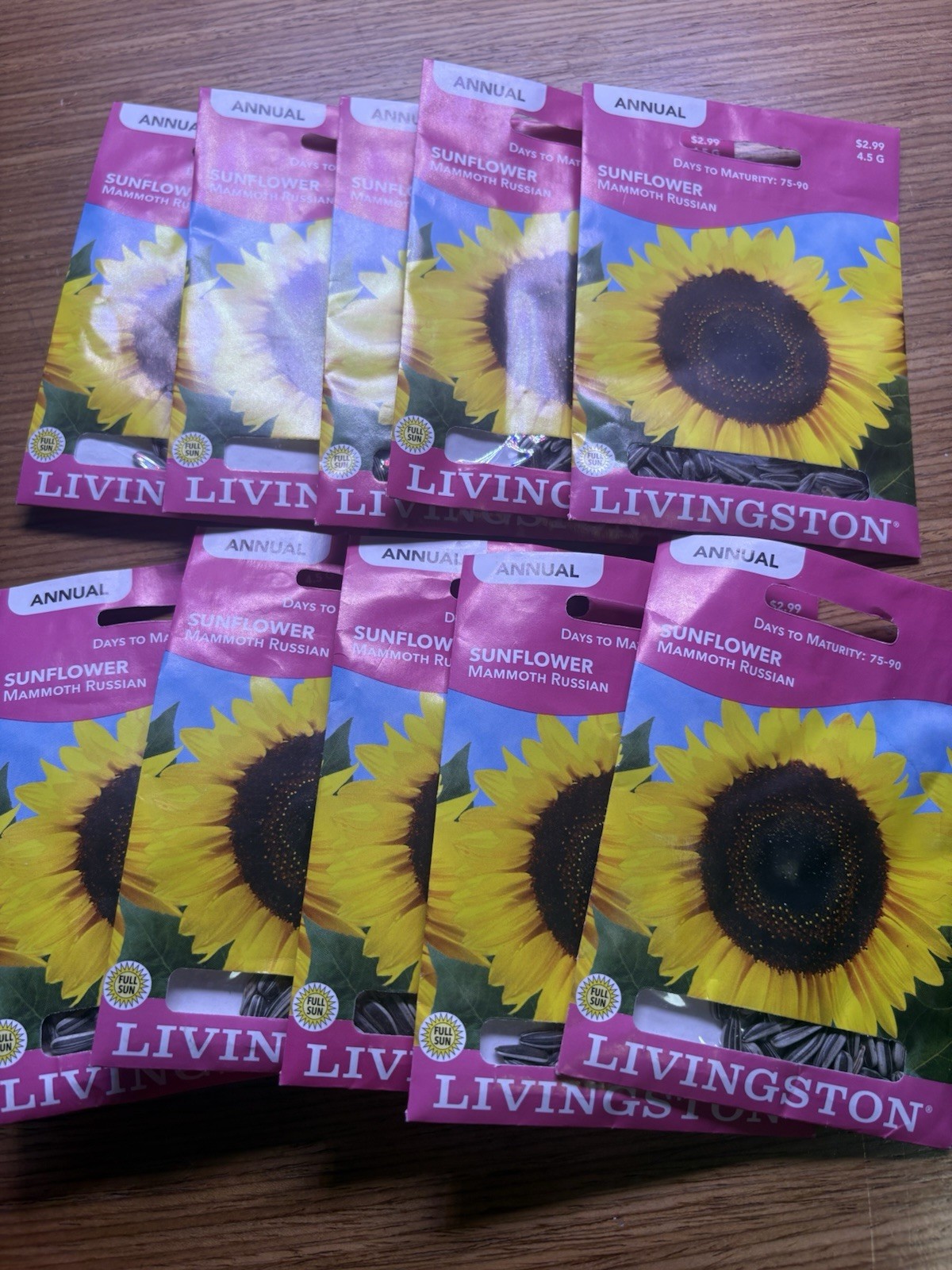 10 PACK BUNDLE Livingston Seed Company Sunflower Mammoth Russian Annual Seeds