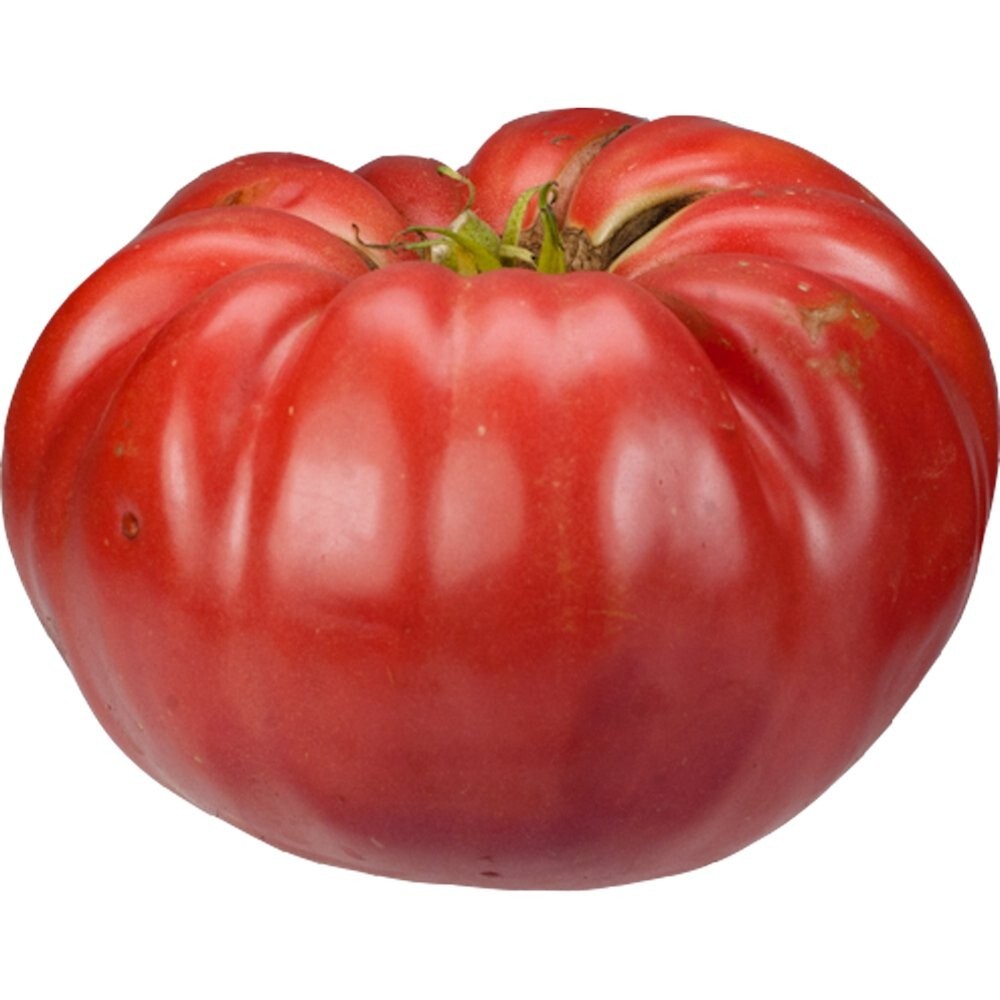 Giant Belgium – Beefsteak – 25 Fresh Seeds – Buy any 3 or more varieties 20% off