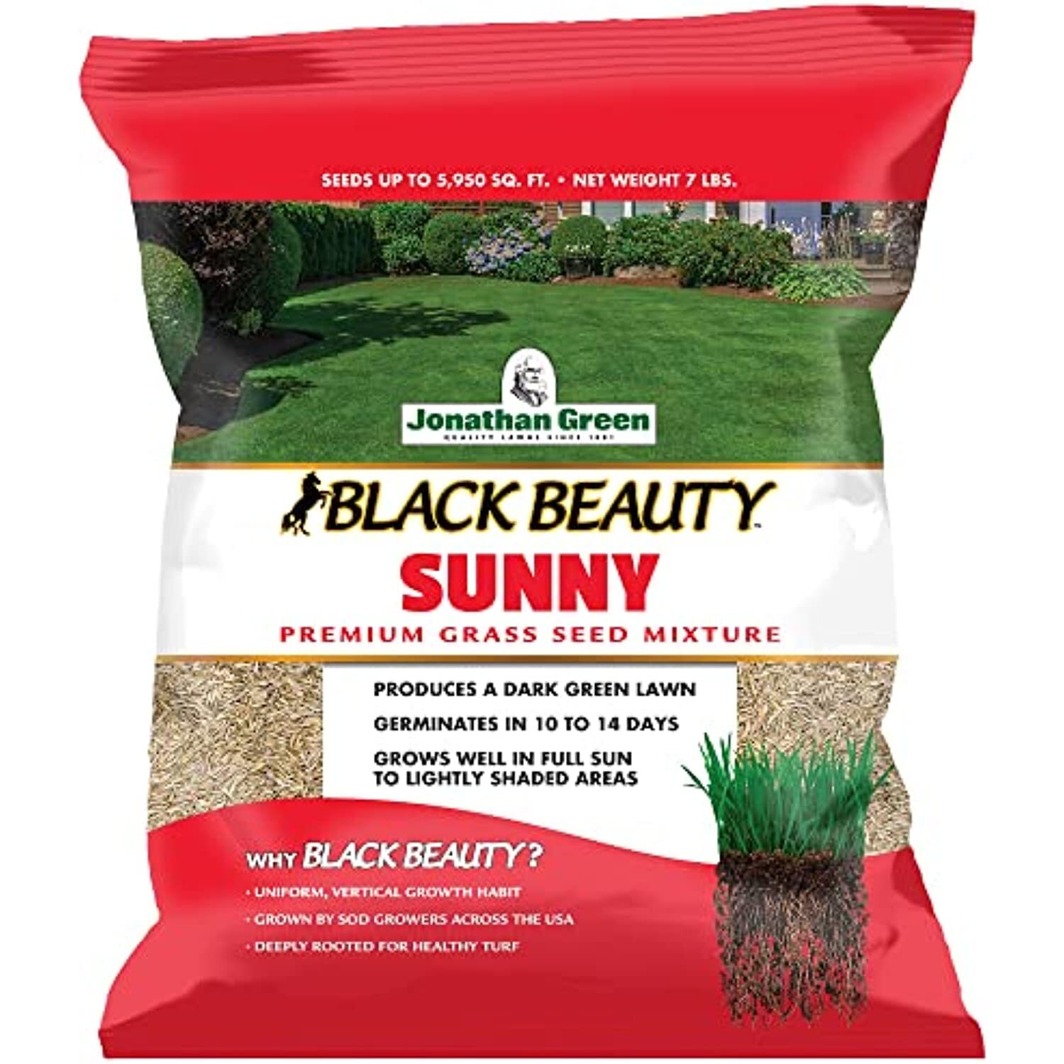 Jonathan Green (10880) Black Beauty Sunny Grass Seed – Cool Season Lawn Seed (7