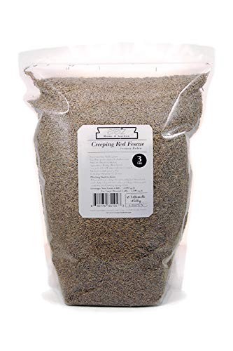 Premium Creeping Red Fescue Grass Seed – 3lb, Oregon Grown, No Fillers, Shade To