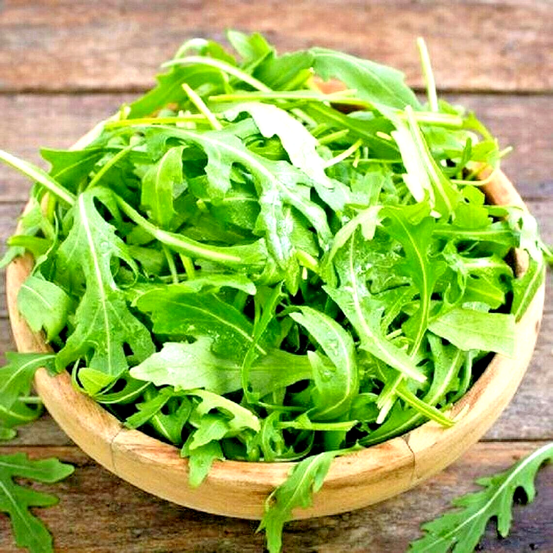 200 ARUGULA SEEDS SPRING GARDEN VEGETABLE SALADS HERB MICROGREENS NON-GMO USA