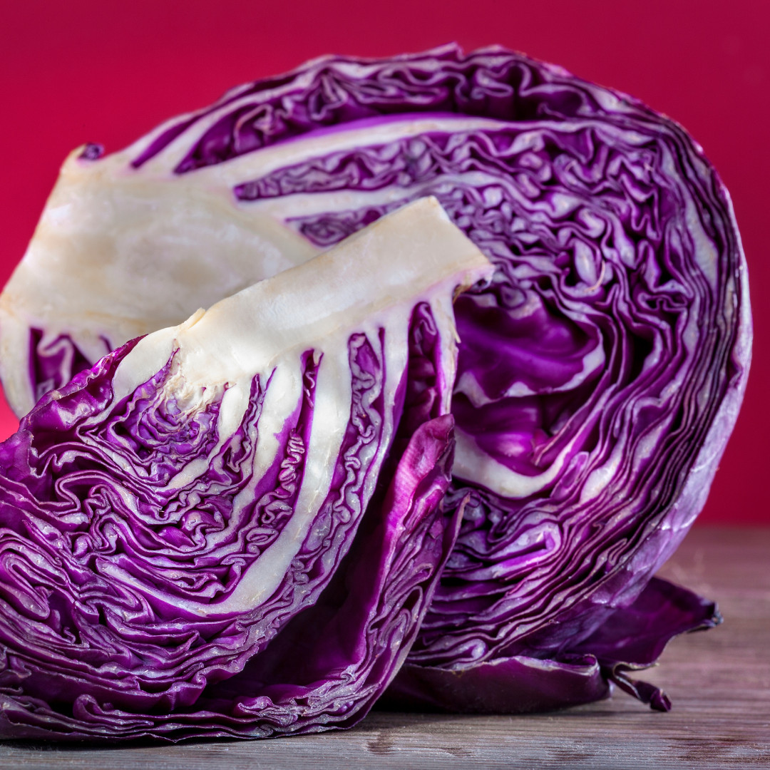 Fresh Crisp Endive Seeds | Radicchio| Heirloom Non-GMO | Vegetable Seeds