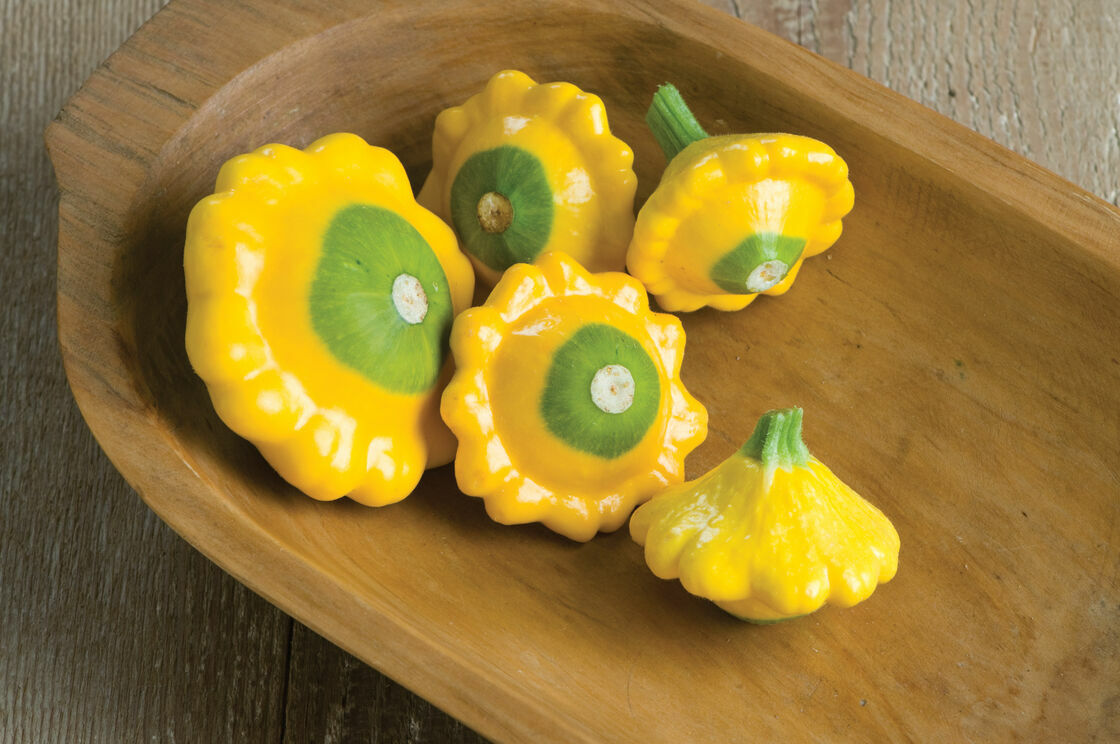 10 Y-Star Patty Pan Squash Seeds for Planting