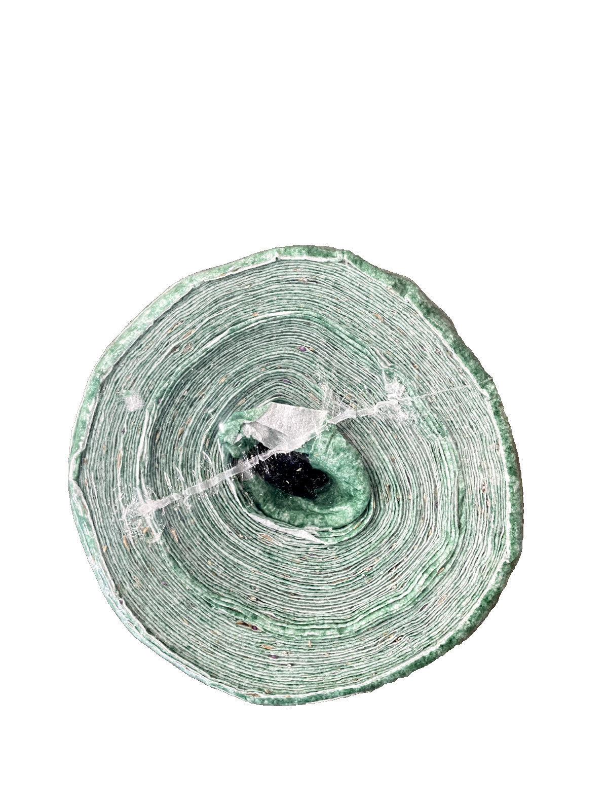 Growtrax Biodegradable Grass Seed Mat, Blue Rye – 100 Sqft Big Roll