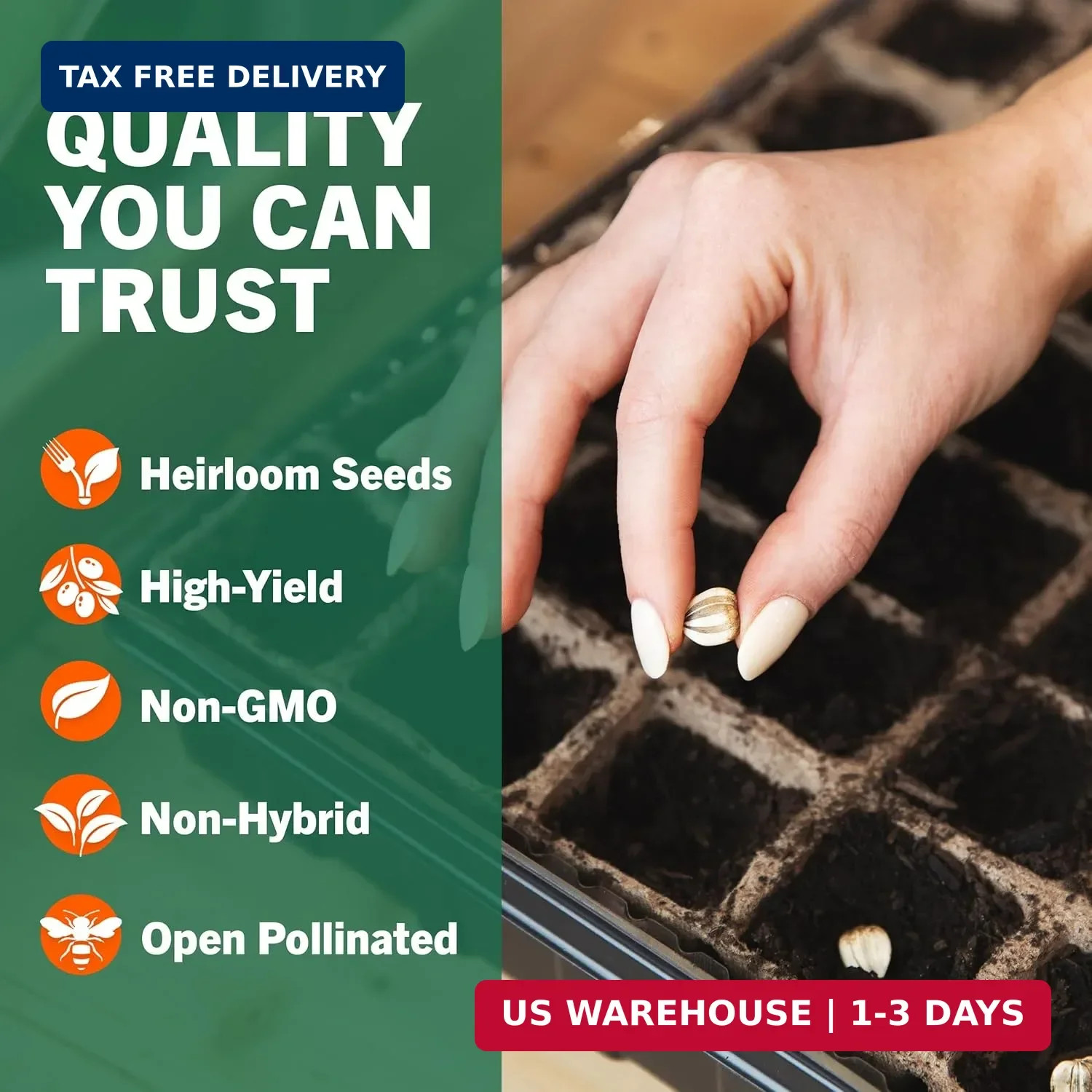 15,000 Heirloom Seeds 32 Varieties Non GMO Vegetable Fruit Survival Garden Kit