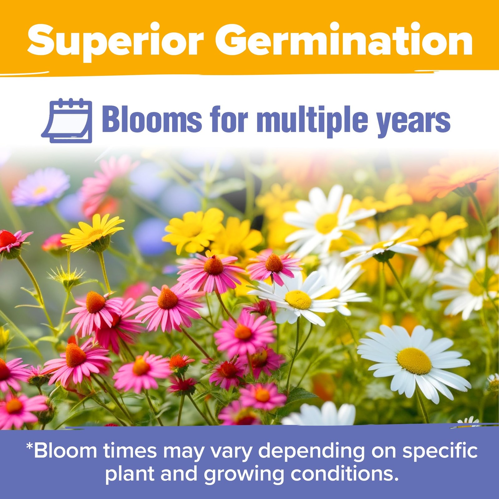 Wildflower Seeds Bulk 4 oz 63,200+ Seeds 19 Varieties Non-GMO Perennial Mix, …