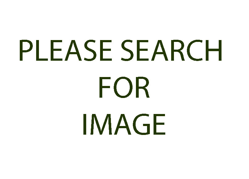 BULB SEED–Geissorhiza corrugata–20 Seeds