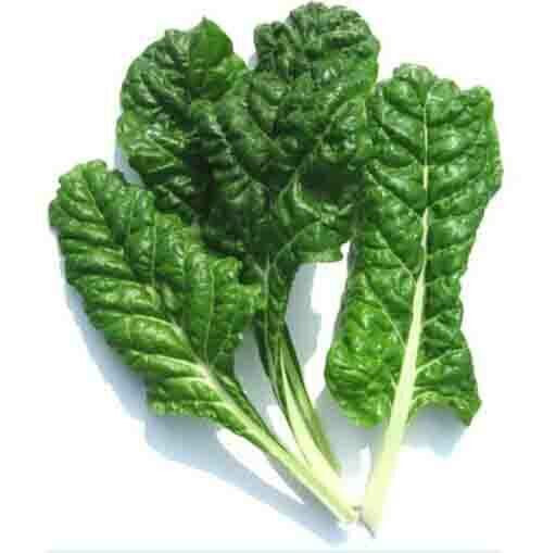 SCARBOROUGH SEEDS Fordhook Giant Swiss Chard 100 Seeds Non GMO Garden Seeds