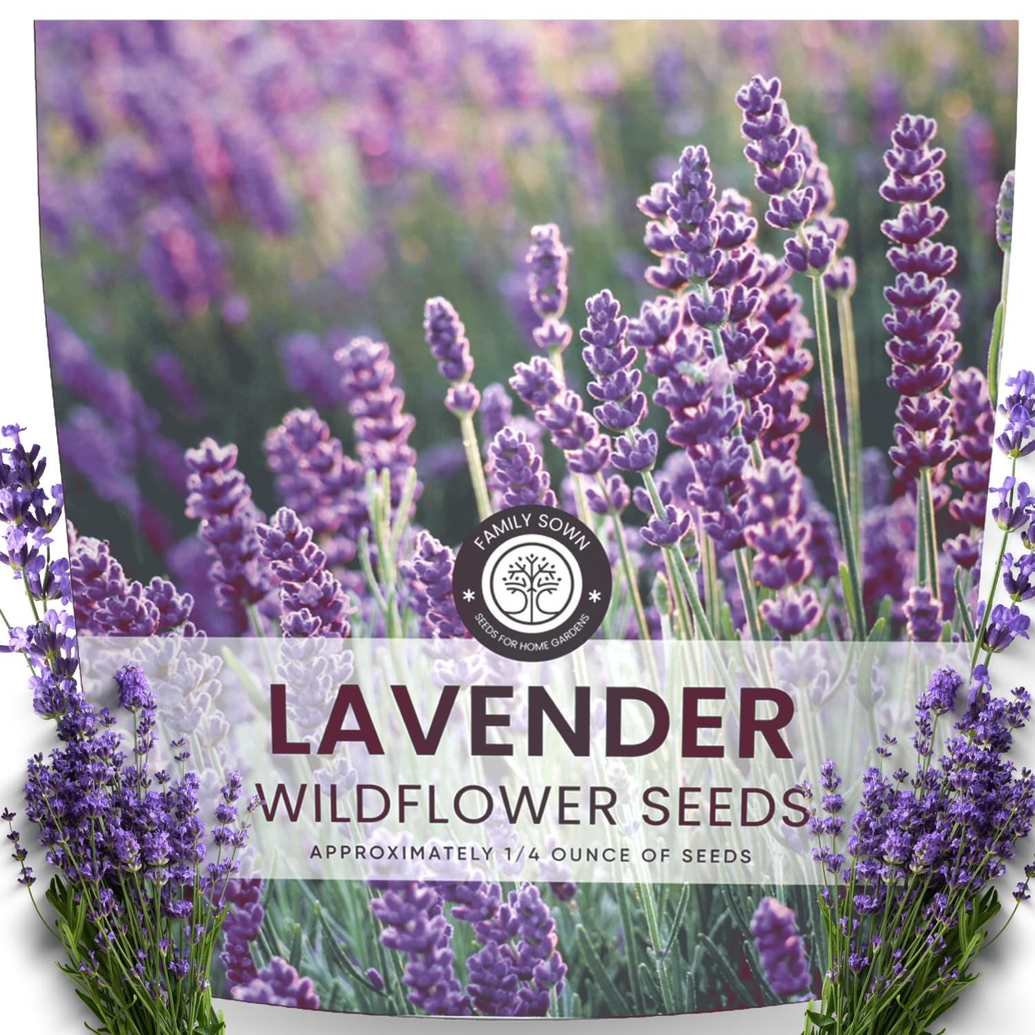 Lavender – 7,000 Seeds for Planting – 2026 Season – 1/4 Ounce Pouch