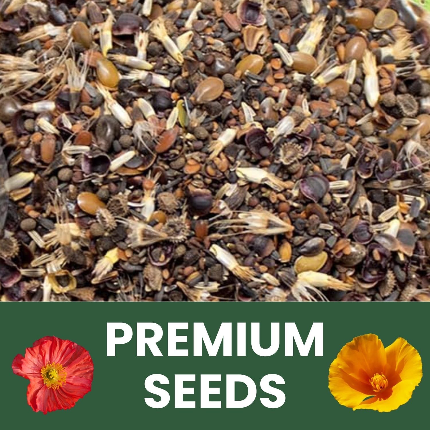 California Wildflower Seed Collection – 79,000 Seeds for Low-Maintenance Beauty