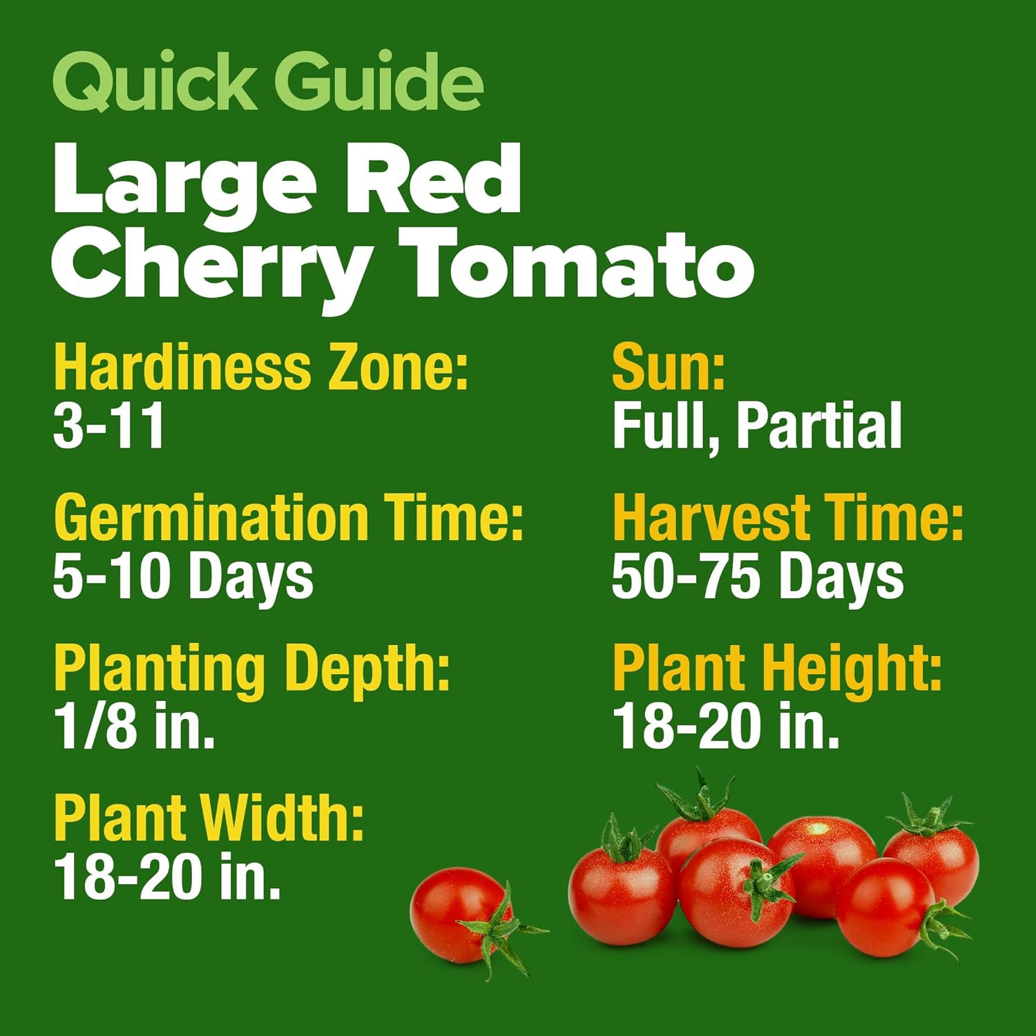 Large Red Cherry Tomato Seeds Pack of 500 Heirloom Vegetable Seeds