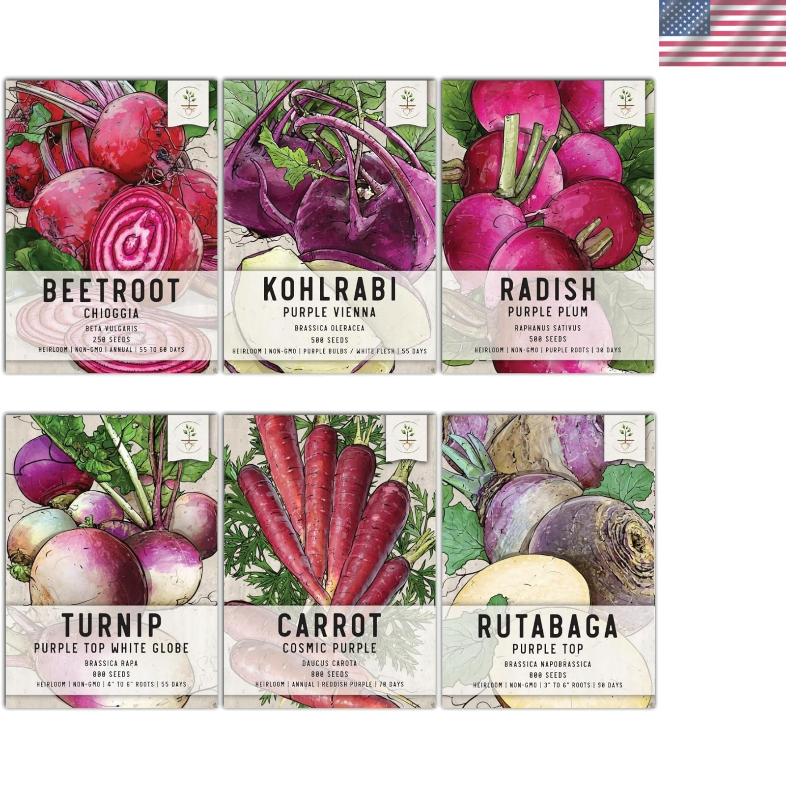 Edible Roots & Bulbs Variety Pack/Seed Collection Contains Rutabaga, Turnips,…