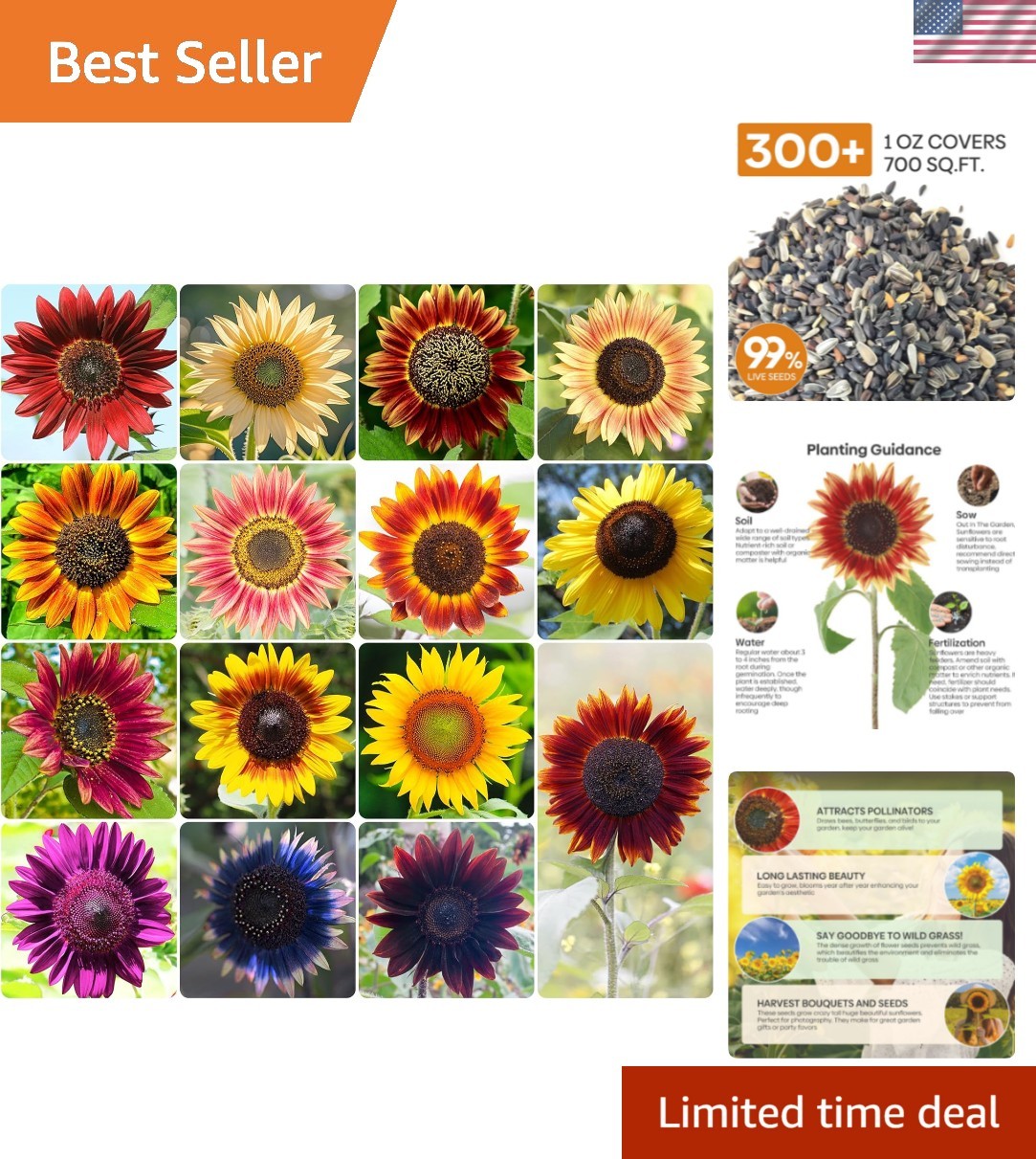 1 Oz Pack of 15 Colorful Sunflower Seeds – Edible & Ornamental Garden Decor
