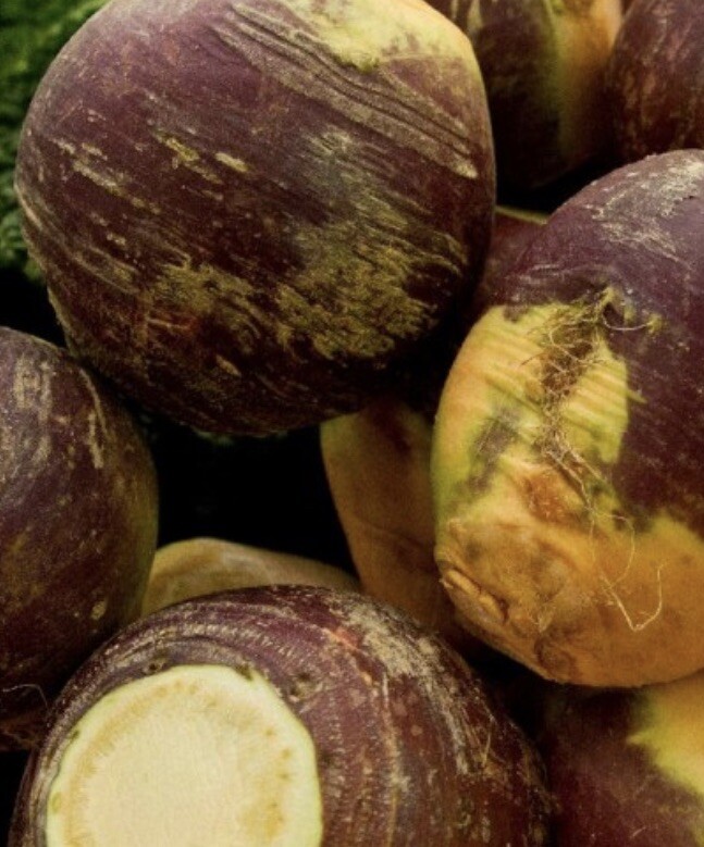 2,000 Rutabaga American Purple Top Seeds | Non-GMO (2,000 Seeds)