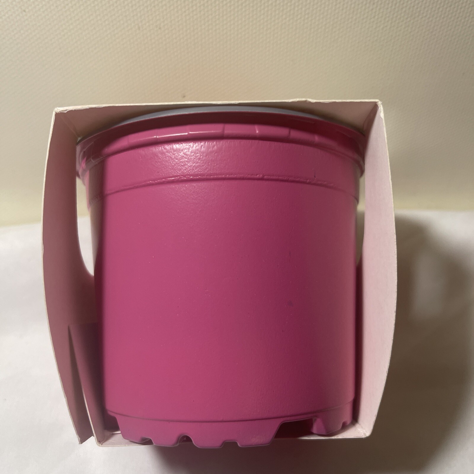 Buzzy Brand Stawberry Grow Kit Pot Complete Seeds Just Add Water