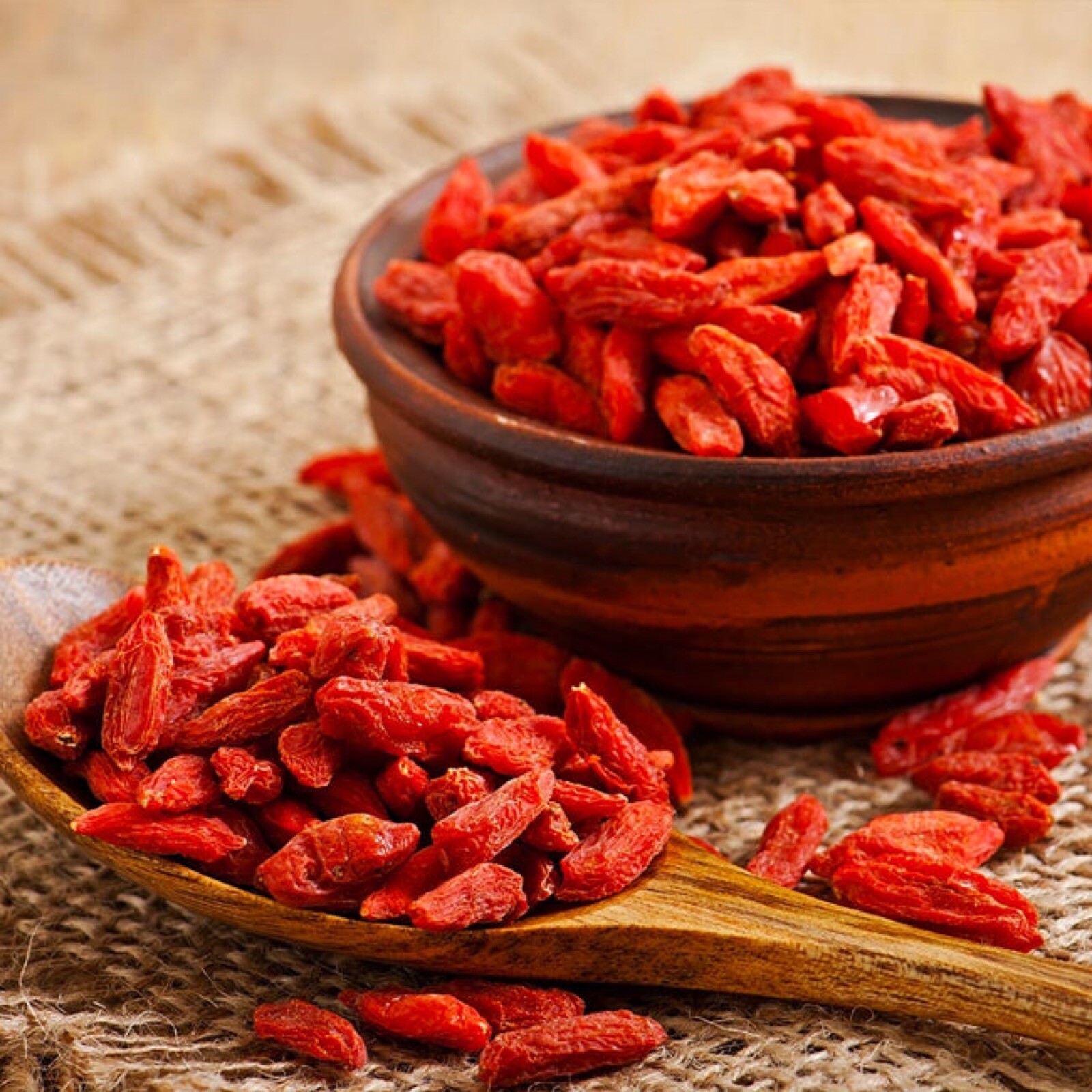 Phoenix Tears Goji Berry 2.5” container, dormant, no leaves