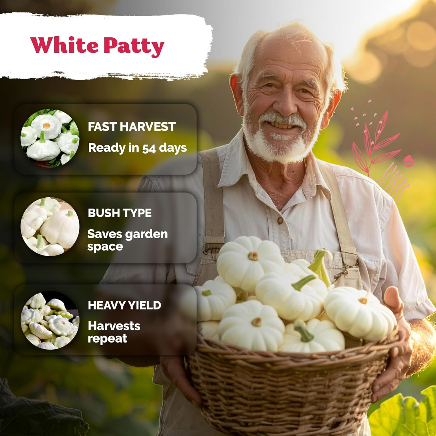 50 White Patty Pan Squash Seeds (Cucurbita Pepo) – Scallops Bush Summer Squash S