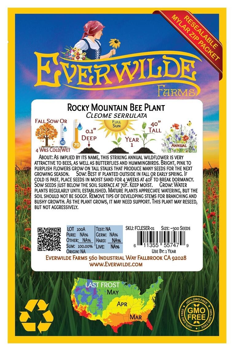 300 Rocky Mountain Bee Plant Wildflower Seeds – Everwilde Farms Mylar Packet