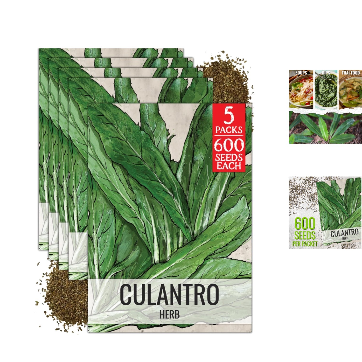 Culantro Seeds – Non-GMO Heirloom for Flavorful Culinary Herb Garden – 5 Packs