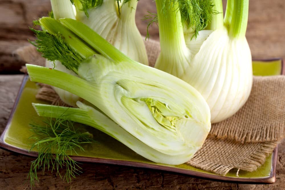 100 Fennel Vegetable Seeds for Planting – Grow Preludio Fennel Bulbs for Cuisine