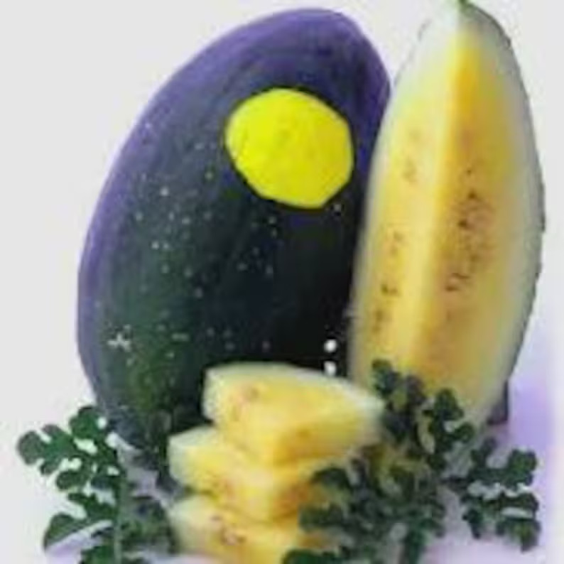 10 Moon & Stars Yellow Watermelon Seeds. Organic. USA Seeds. Ships free