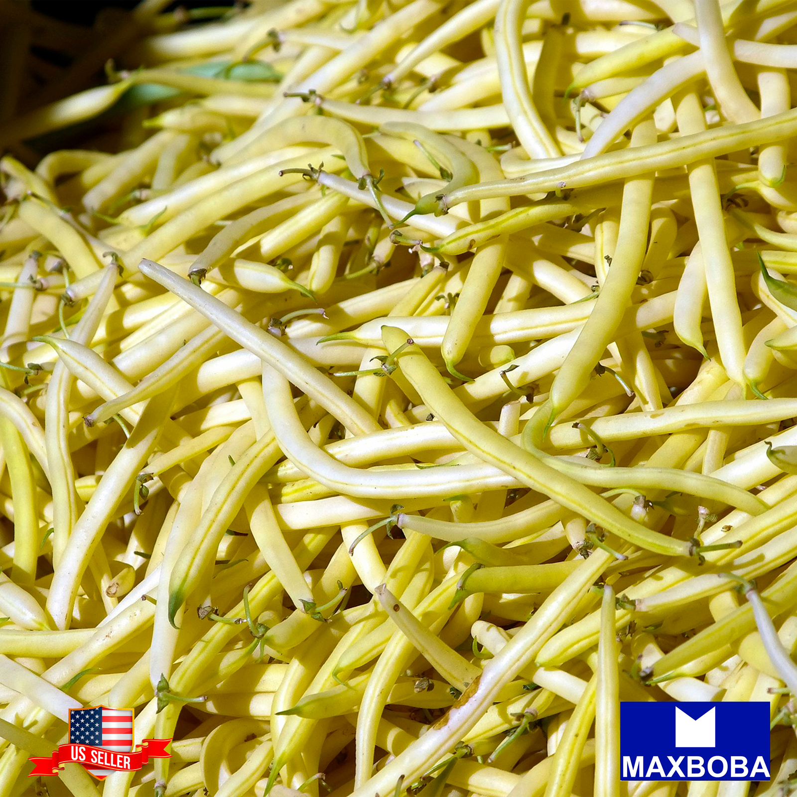 Bean Seeds Wax Bush Top Notch Golden Wax Non-GMO Heirloom Vegetable Garden