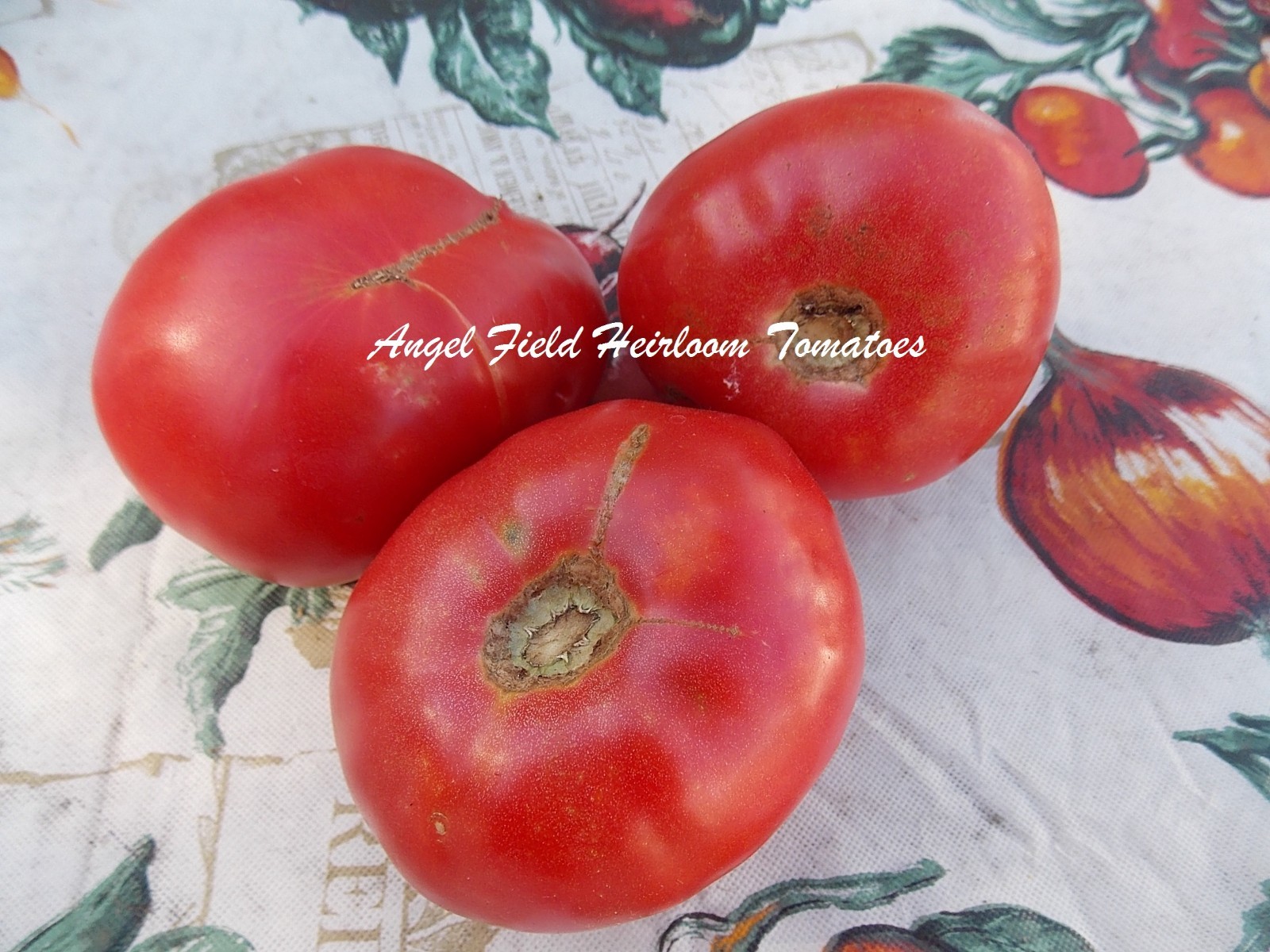 30 Chesapeake Heirloom Tomato Seeds Plus 2 Packs of Vegetable Seeds