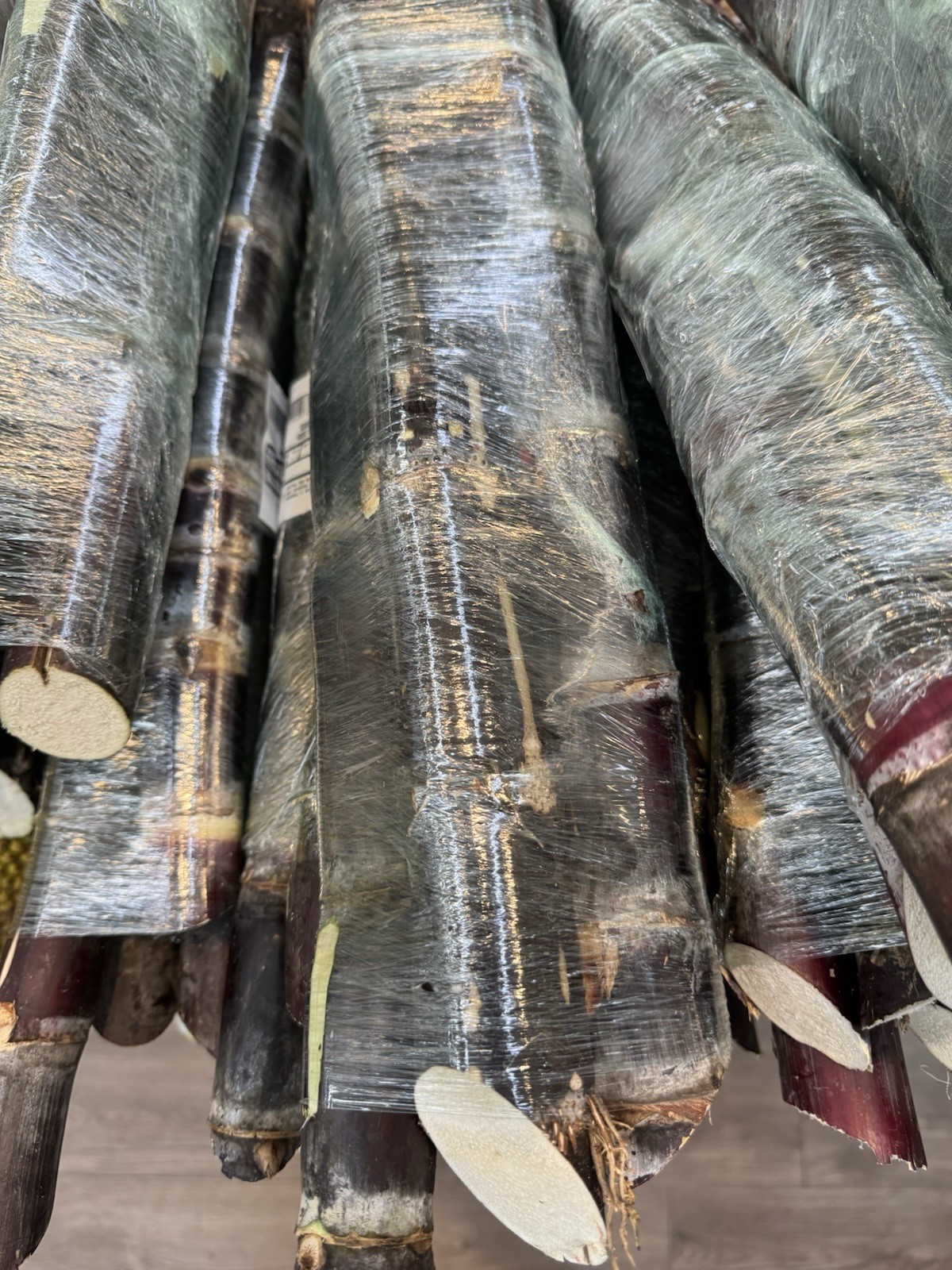 Sugar Cane