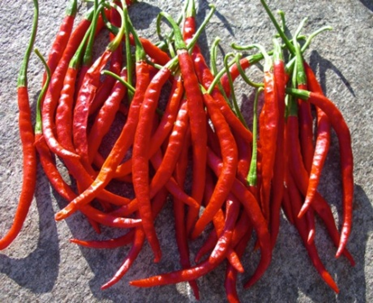 Chili de Arbol Pepper Seeds (80)
