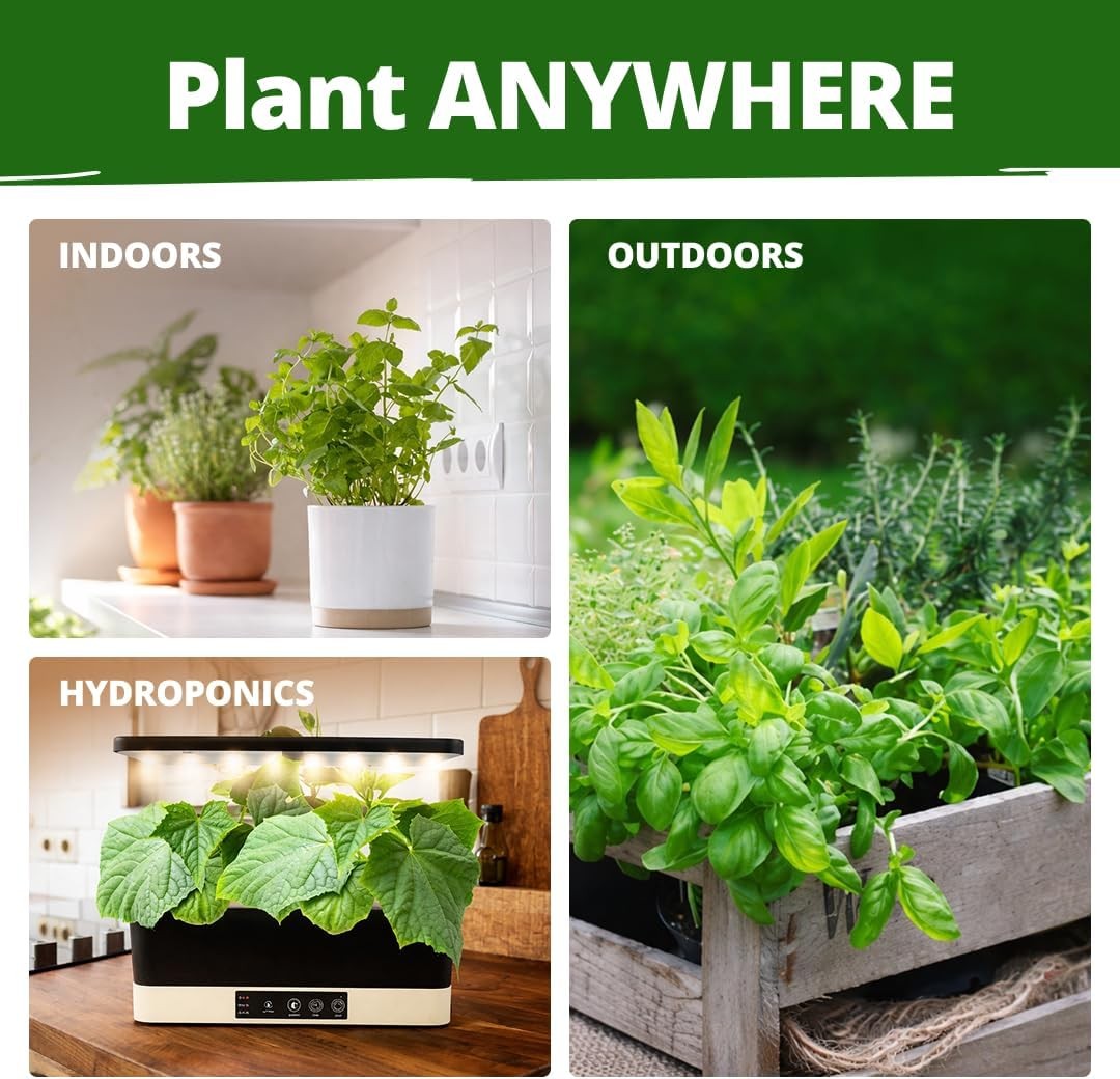 HOME GROWN Herb Seeds for Planting 15-Pack Massive Seed Count 4,300+ Seeds Non-G