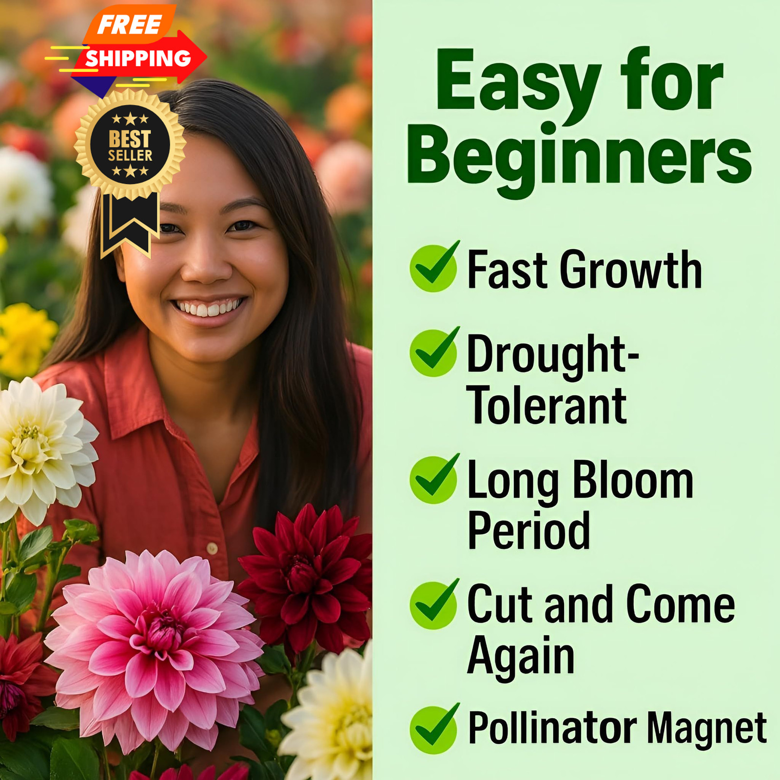 Dahlia Zinnia Seeds Bulk – Mixed, White, Pink, Red, Orange, Yellow, Purple