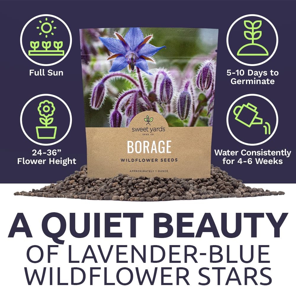 1200 PCS Borage Seeds Extra Large Open Pollinated Wildflower NonGMO Plant