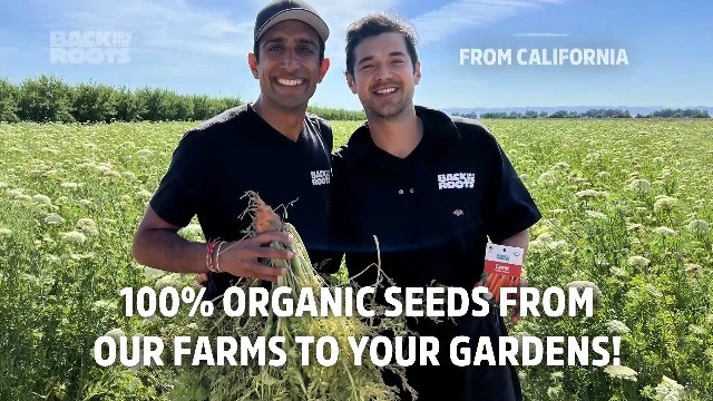 Heirloom Organic Non-GMO Seeds – 30ct Assorted Herbs, Fruits & Veggies – Guarant