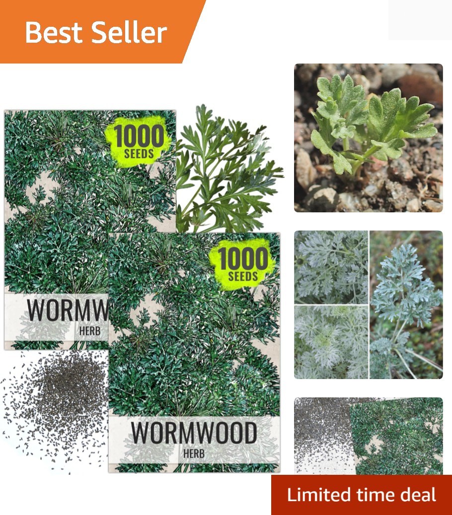 1000 Count Heirloom Wormwood Seeds – Non-GMO Herbal Medicinal Plant, 2 Packs