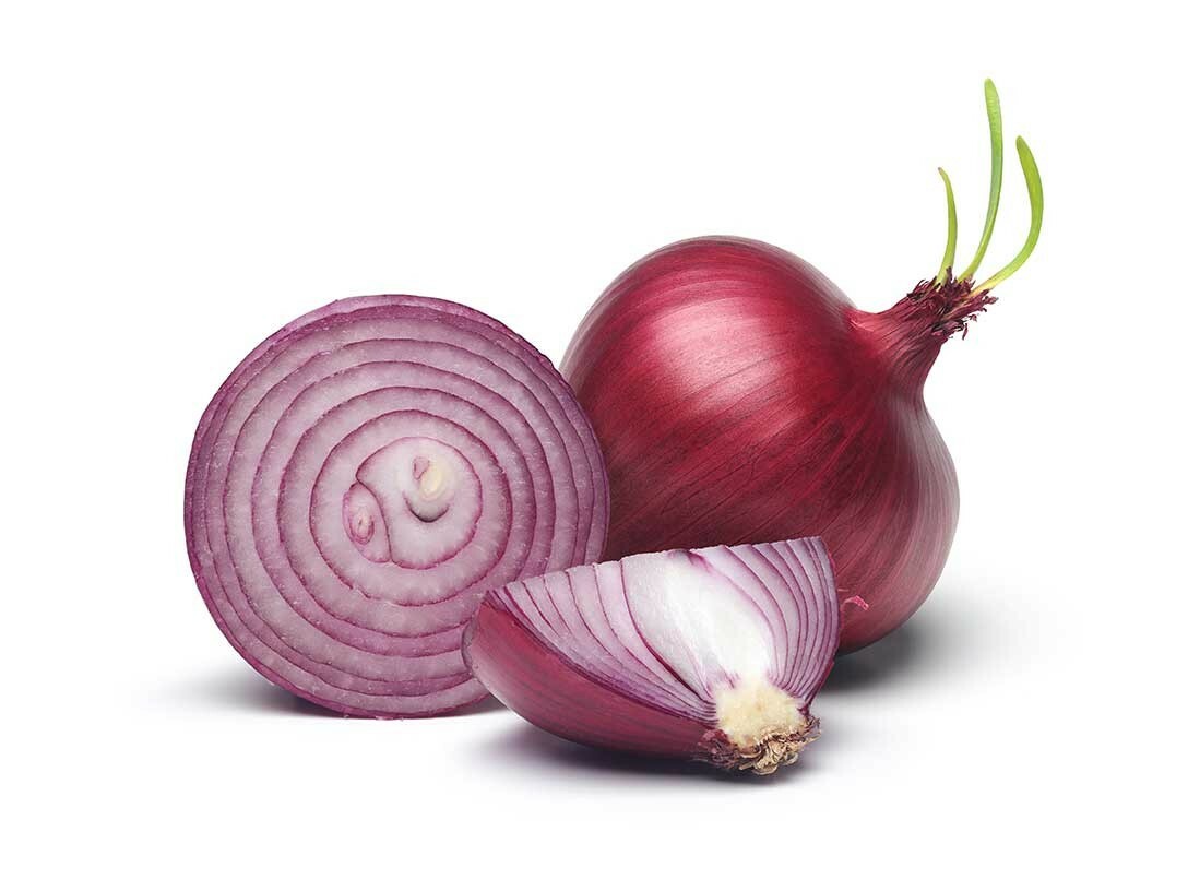 200 RED BURGUNDY ONION SEEDS ~ 2026 ~ heirloomseedguy ~ USA
