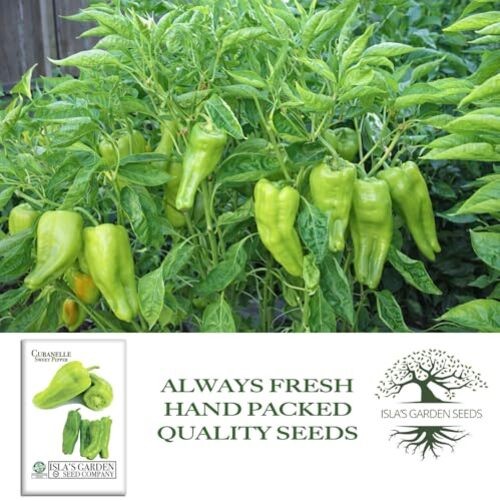 Cubanelle Sweet Pepper Seeds (Capsicum annuum) – 100+ Non-GMO Heirloom Seeds