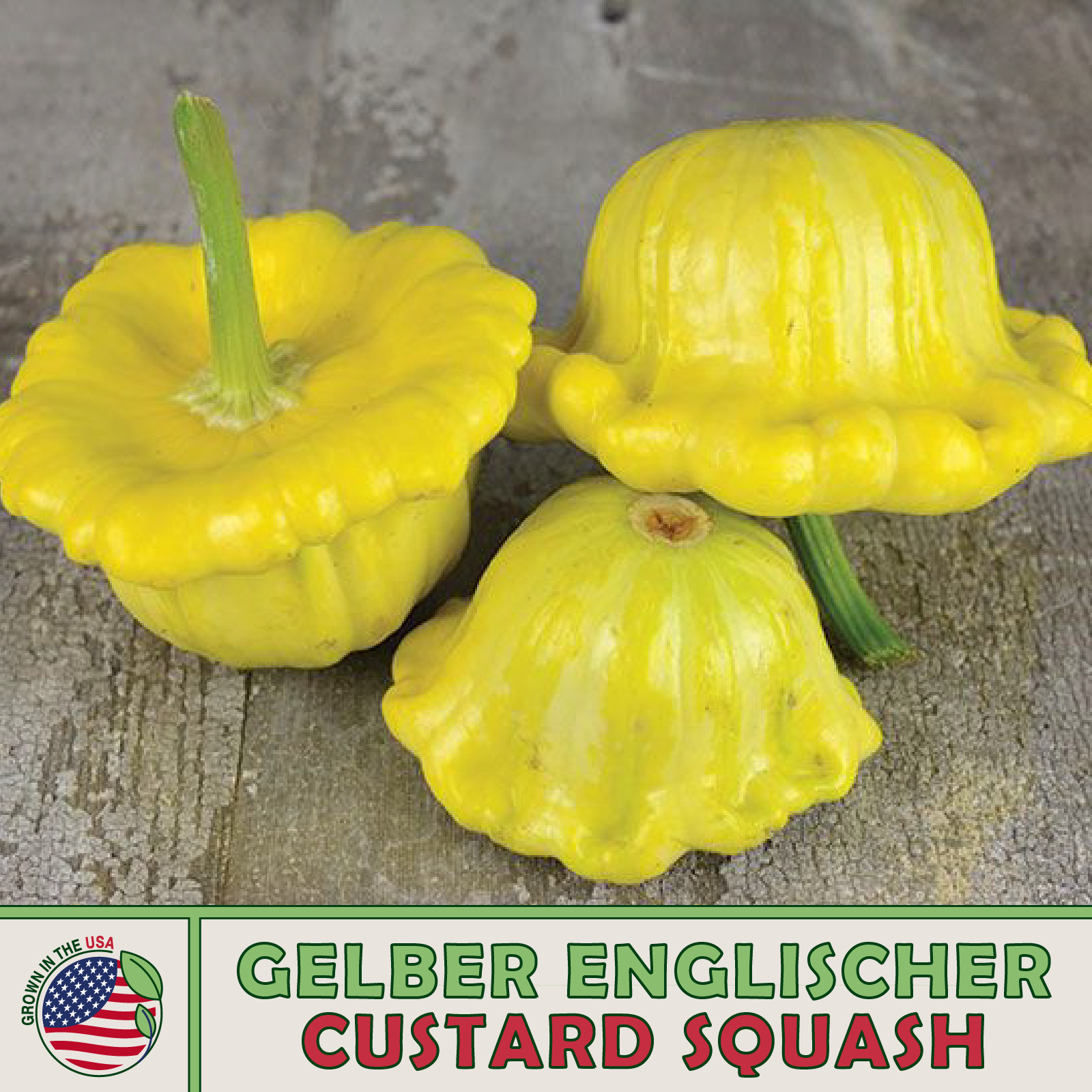 10 Gelber Englischer Custard Squash Seeds, Heirloom, Non-GMO, Genuine USA