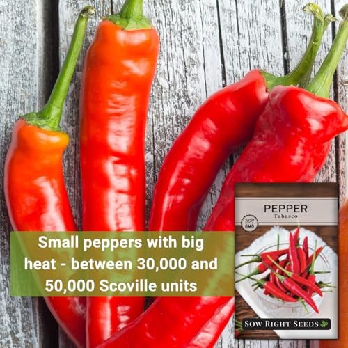 Tabasco Pepper Seeds for Planting – Non-GMO Heirloom Hot Pepper Variety – 1