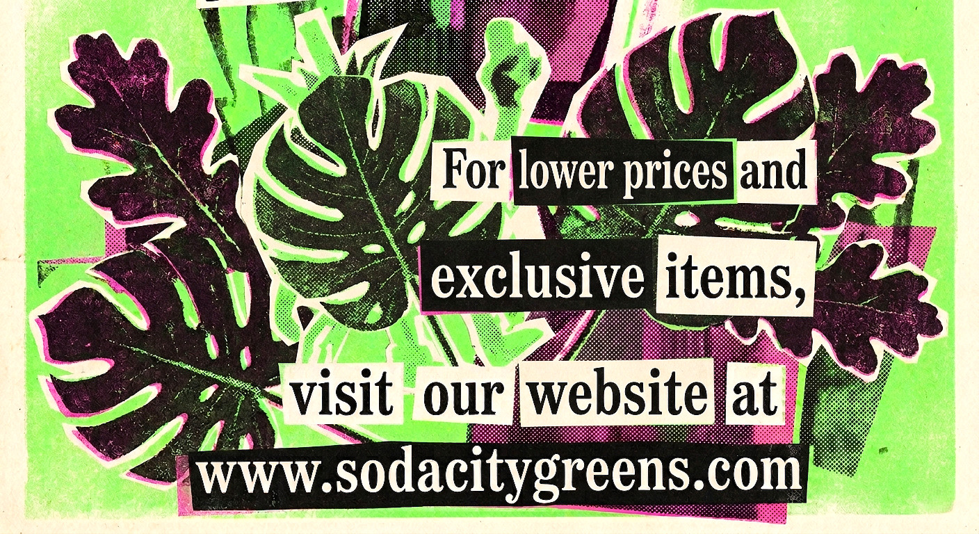 Reapion (Reaper x Scorpion Hybrid) Hot Pepper Seeds 10+