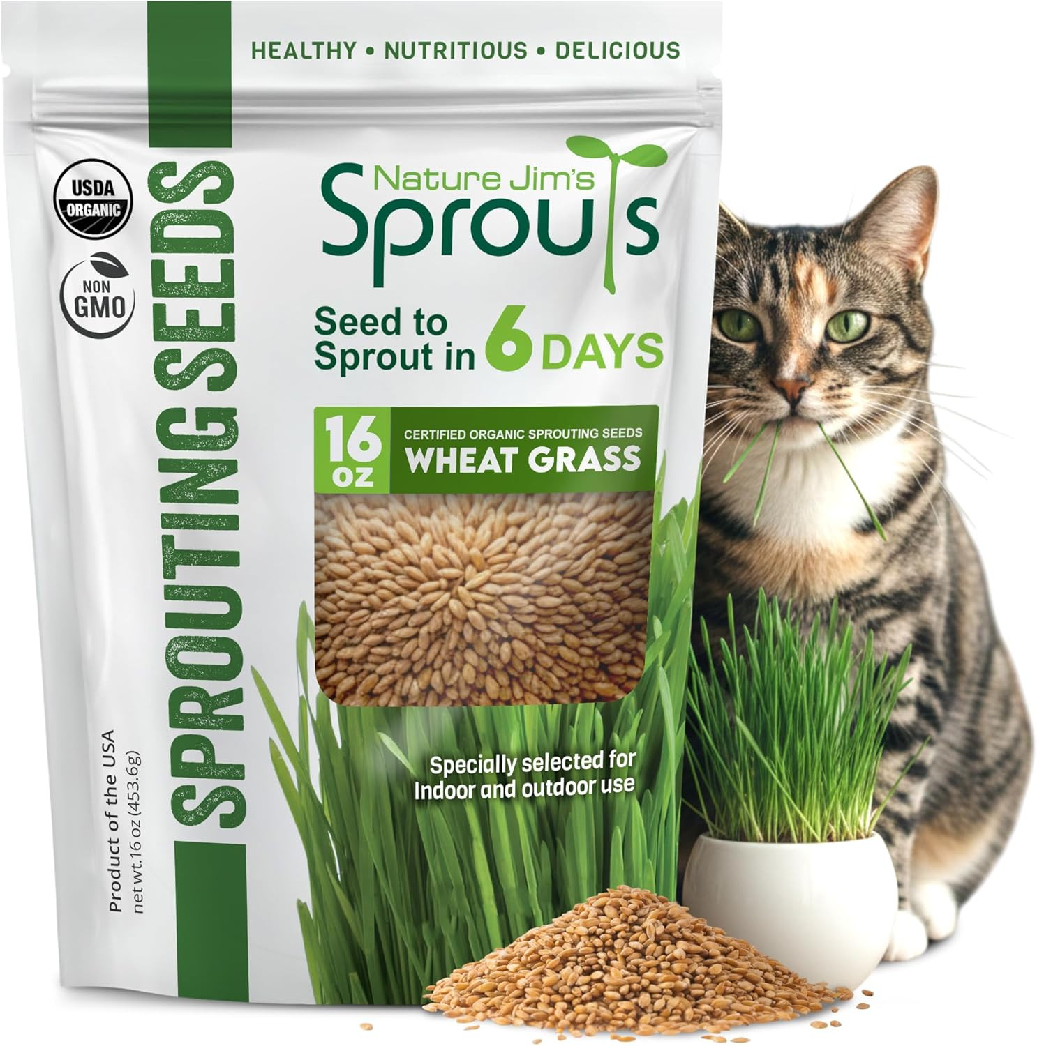 Wheat Grass Seeds – Non-Gmo Organic Seeds for Planting, Cat Grass for Growing &