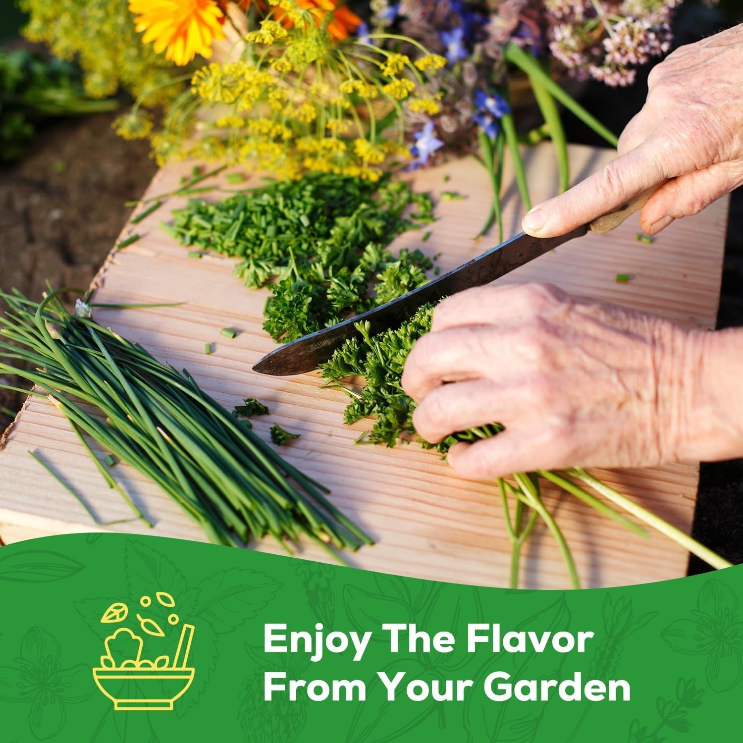 Complete Herb Garden Set – 10 Non-GMO Heirloom Varieties for Home Gardening