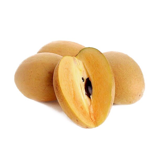 Very Sweet Sapote, Sapodilla – 10 Seeds 2023 – USA seller