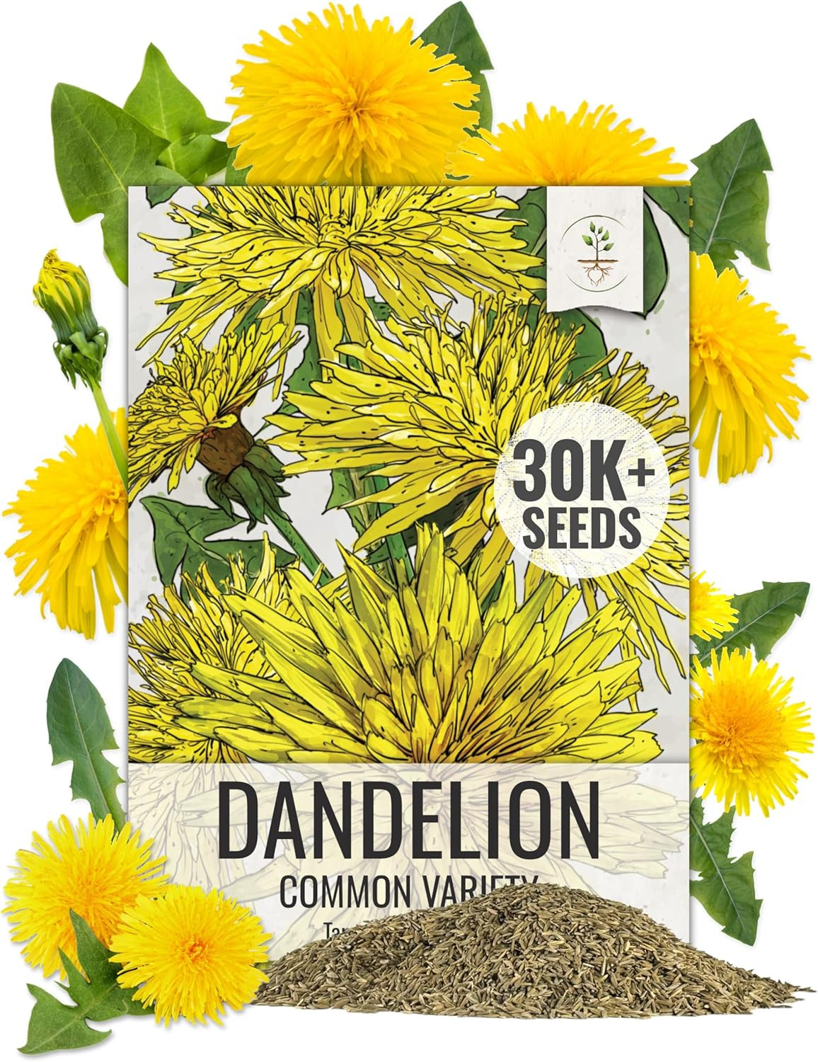 30,000+ Common Dandelion Herb Seeds for Planting – Non-Gmo, Heirloom & Untreated