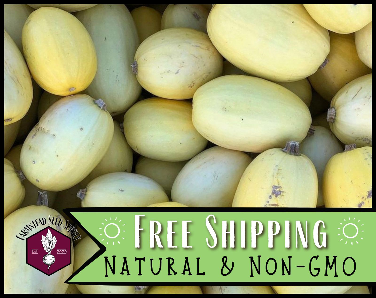 35+ Spaghetti Squash Seeds | Heirloom Vegetable Gardening Seed Packet