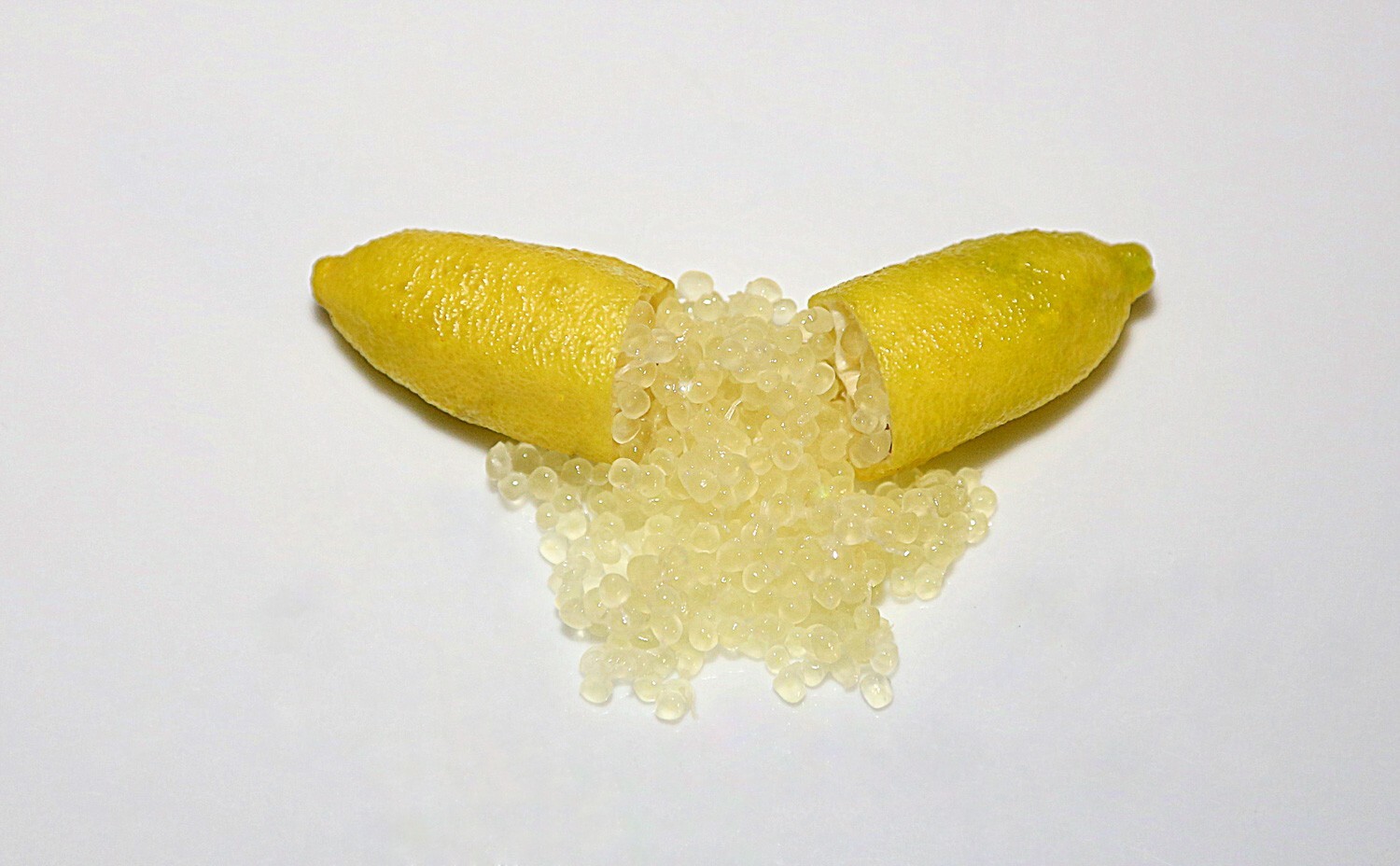 NEW YELLOW caviar Australian Finger Lime/citrus 3 cuttings, no roots, imported