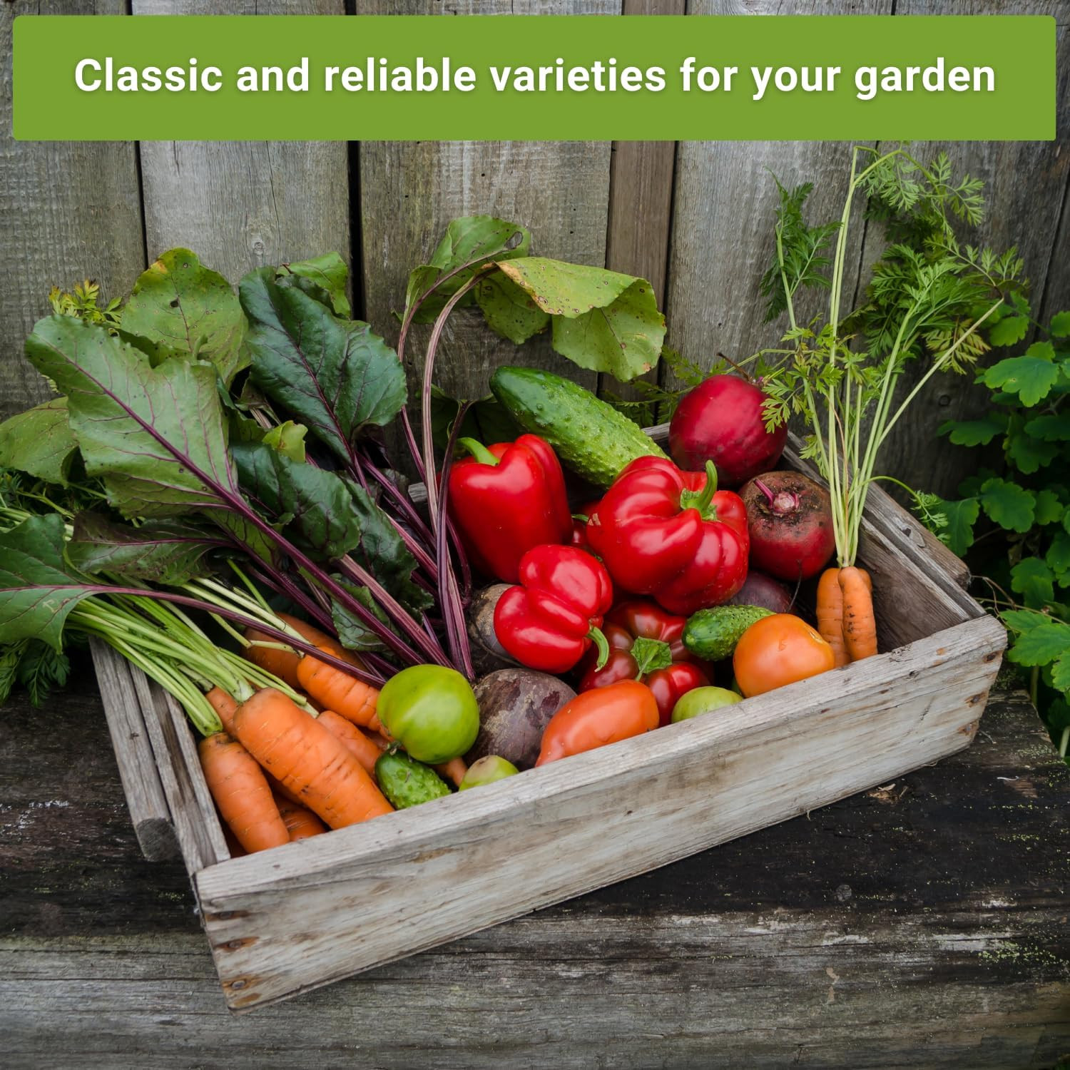 Sow Right – Classic Vegetable Garden Seed Collection for Planting – Non-Gmo Hei