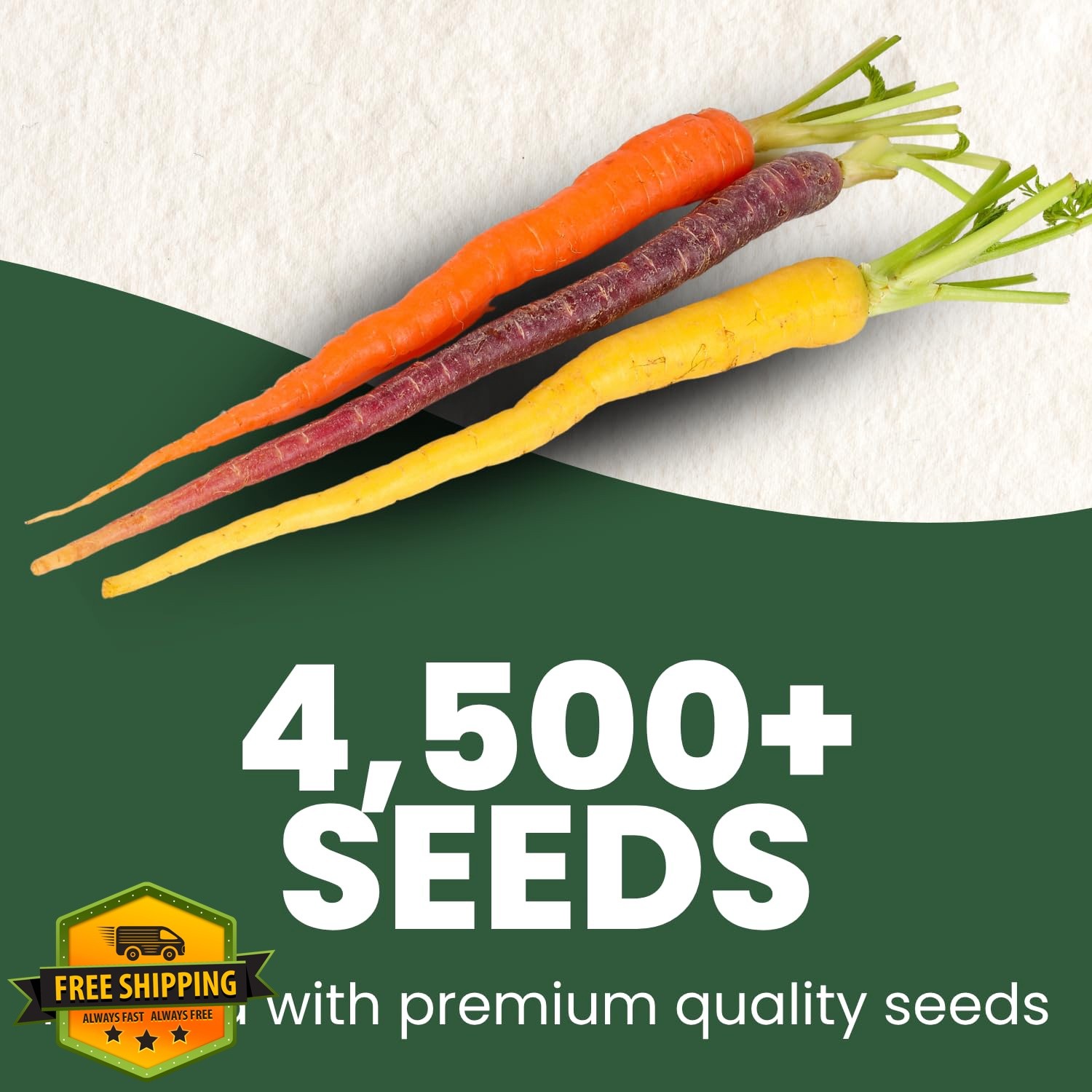 FAMILY SOWN Carrot Rainbow Mix Seeds